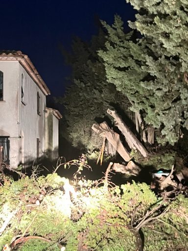 Dégâts d'un arbre tombé près d'une maison, éclairage nocturne.