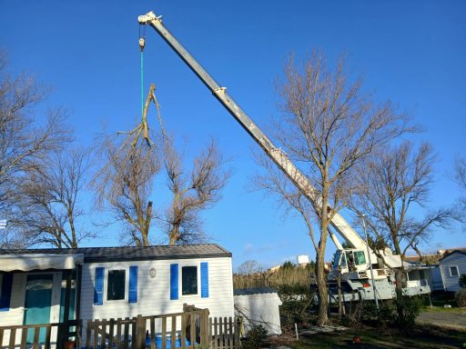 Un camion élévateur coupe une branche d'arbre près de deux mobil-homes.